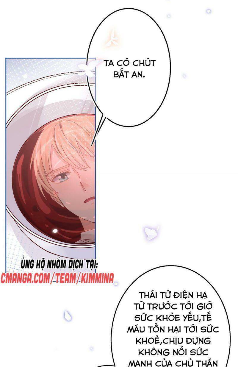 Chapter 22