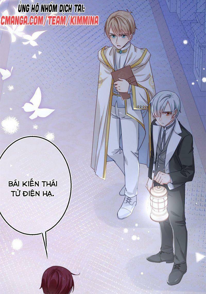 Chapter 22