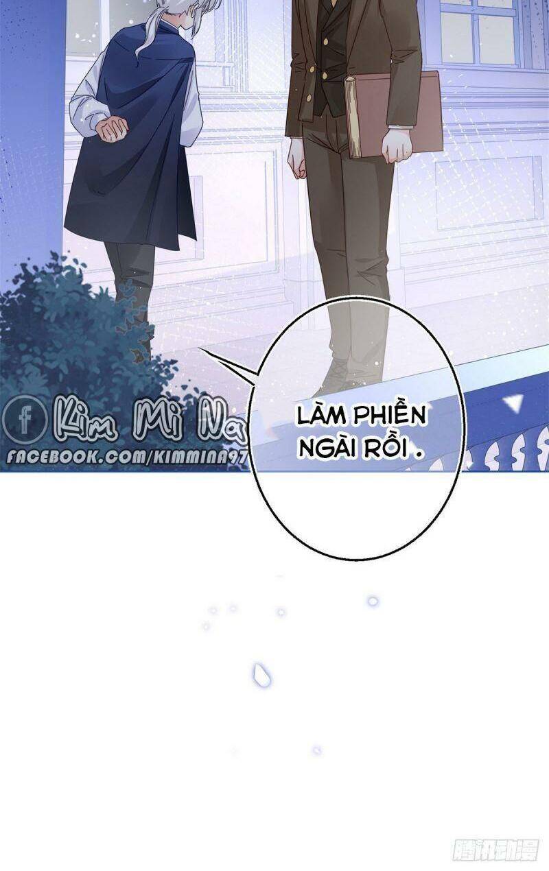 Chapter 23