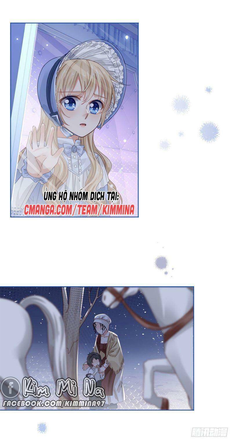 Chapter 23