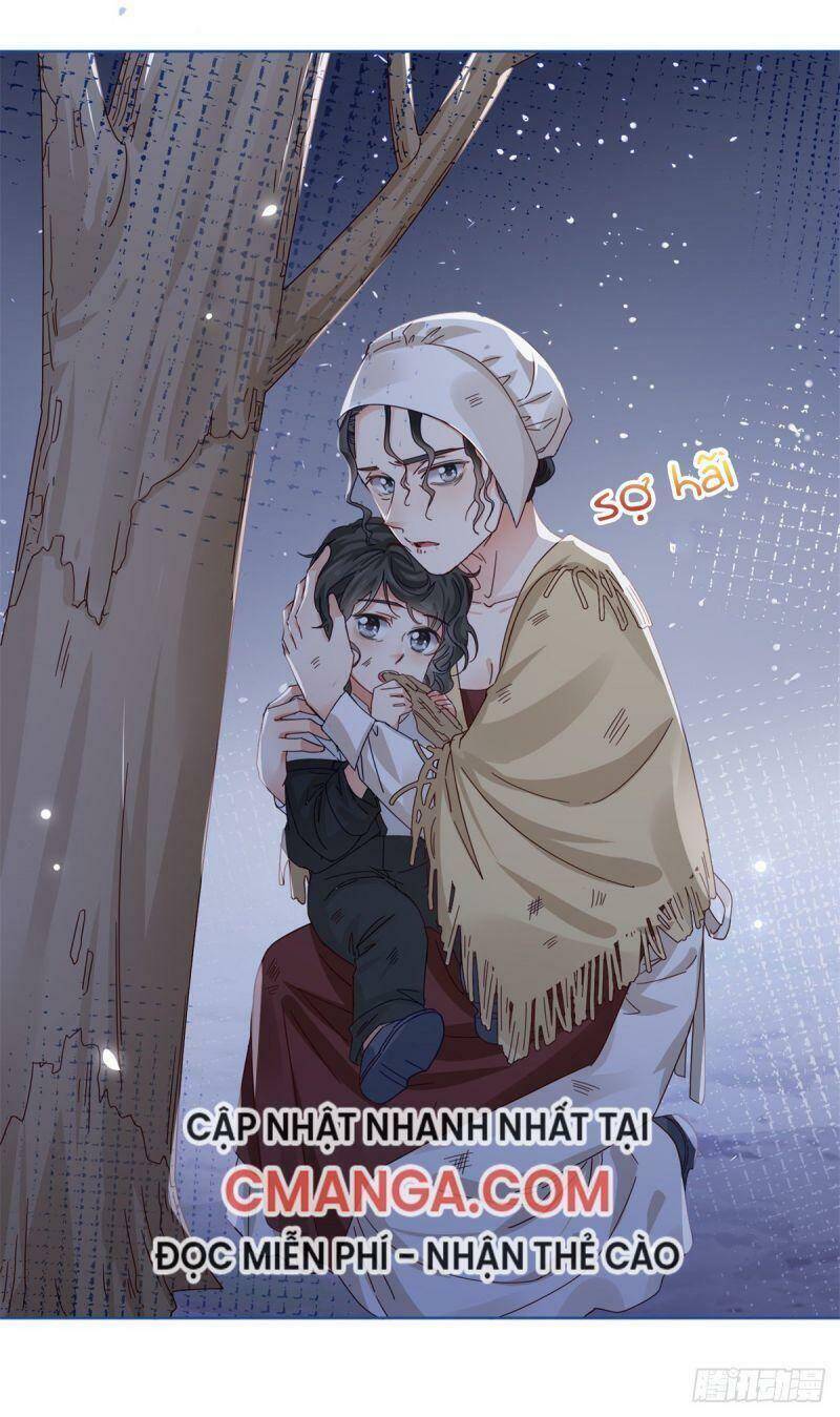 Chapter 23