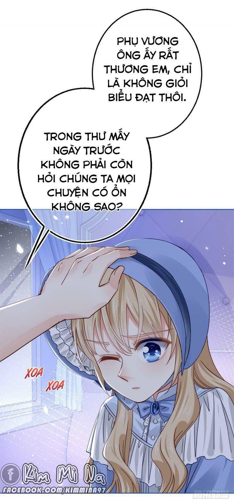 Chapter 23