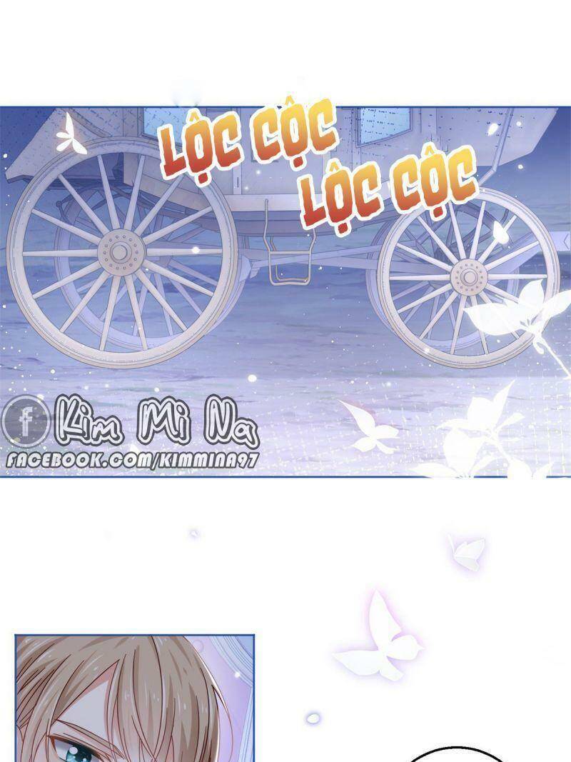 Chapter 23