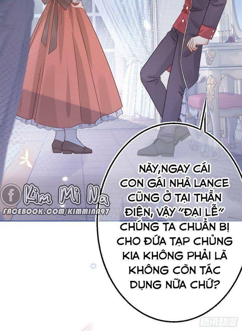 Chapter 23