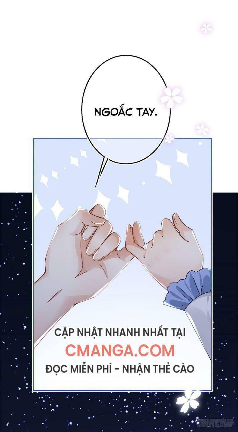 Chapter 23