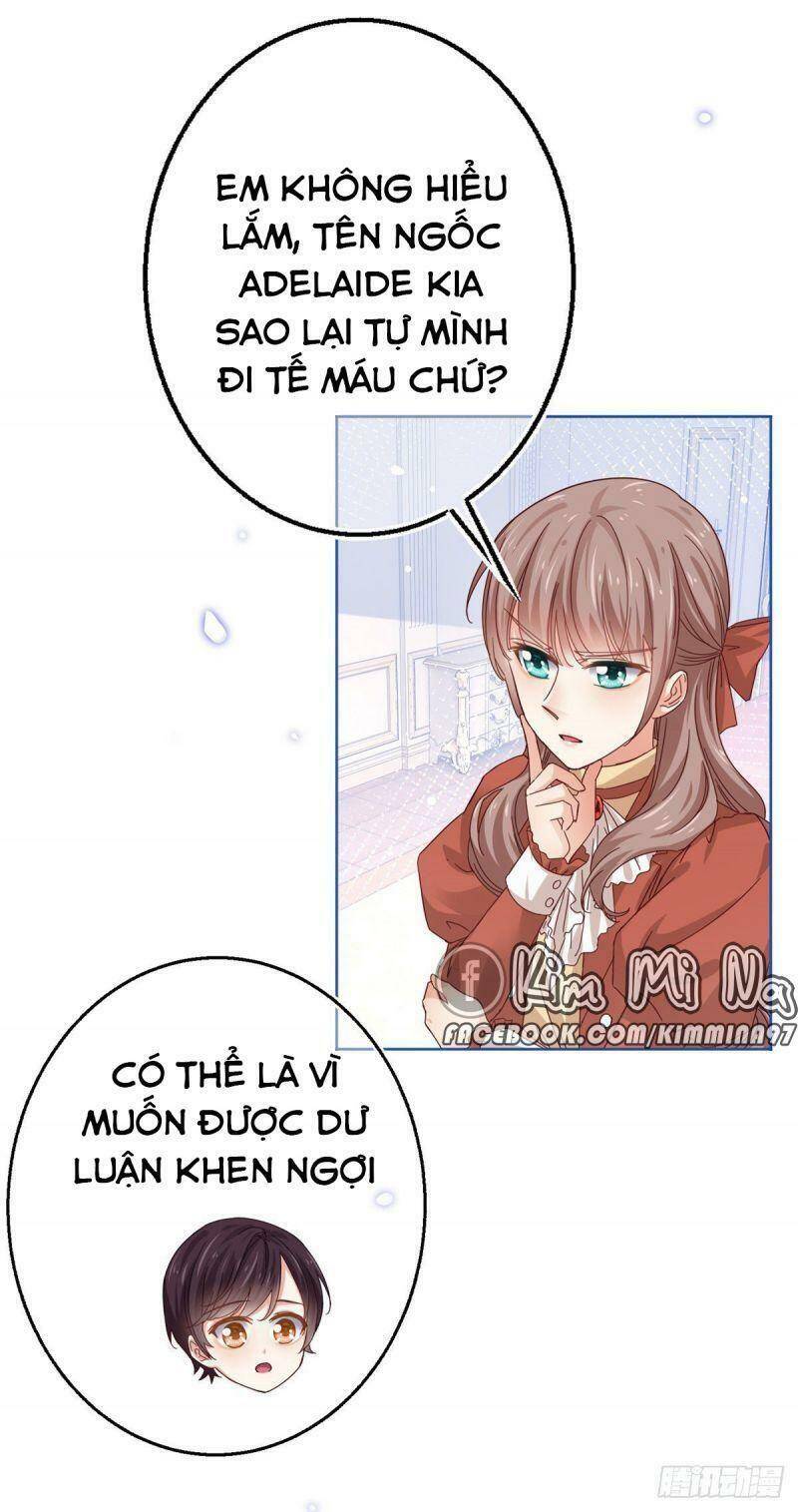 Chapter 23