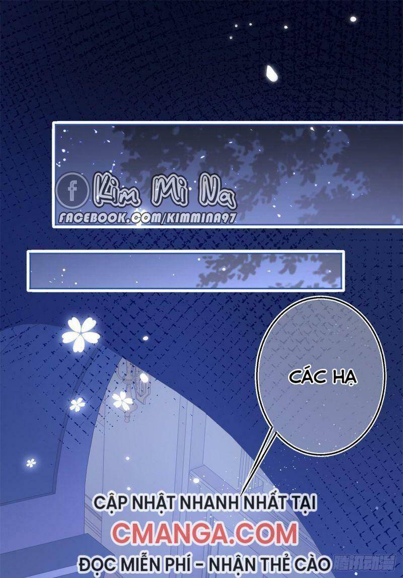 Chapter 23