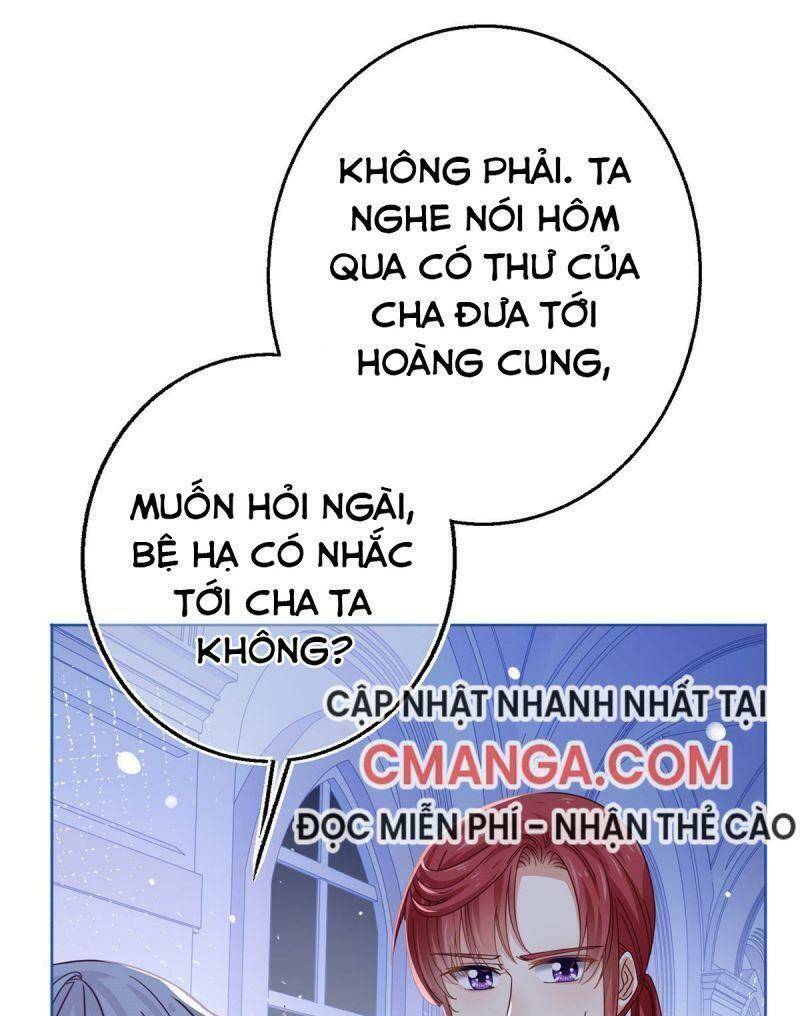 Chapter 23