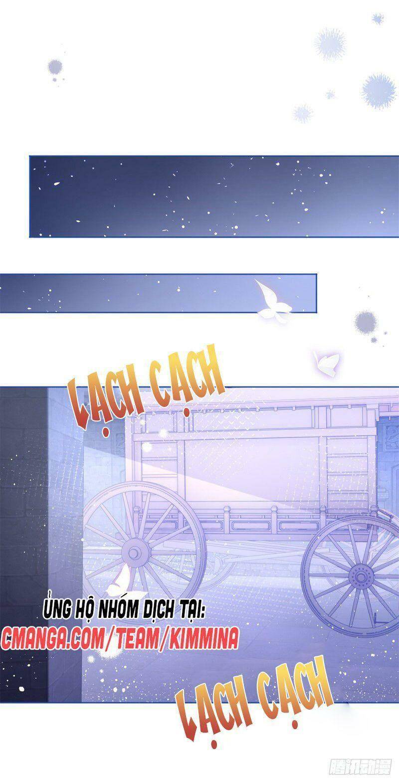 Chapter 24