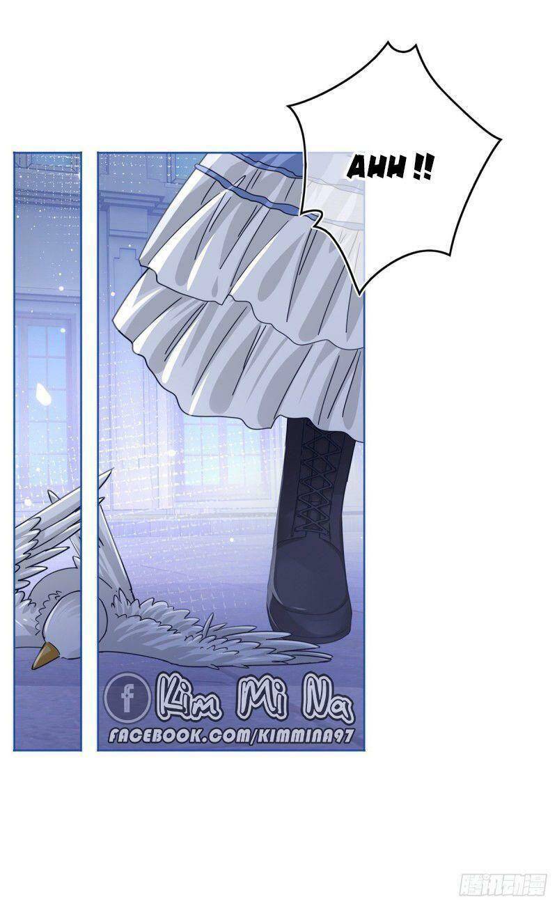 Chapter 24
