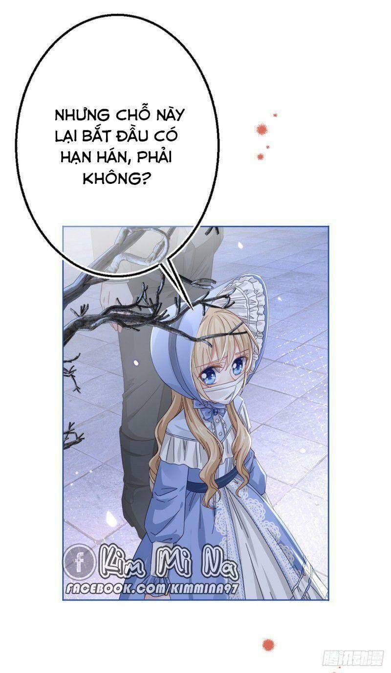 Chapter 24