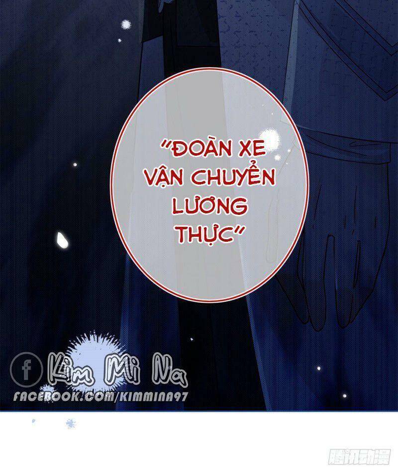 Chapter 24