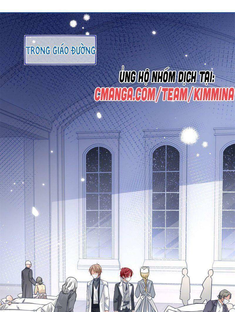 Chapter 25