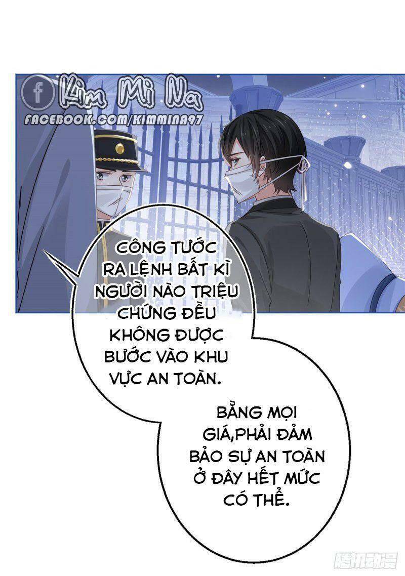 Chapter 25