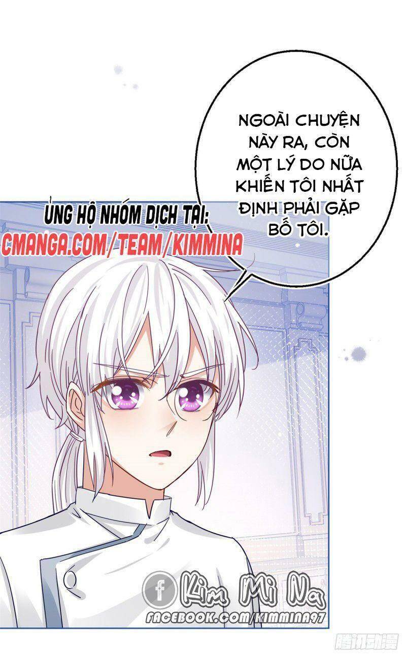 Chapter 25