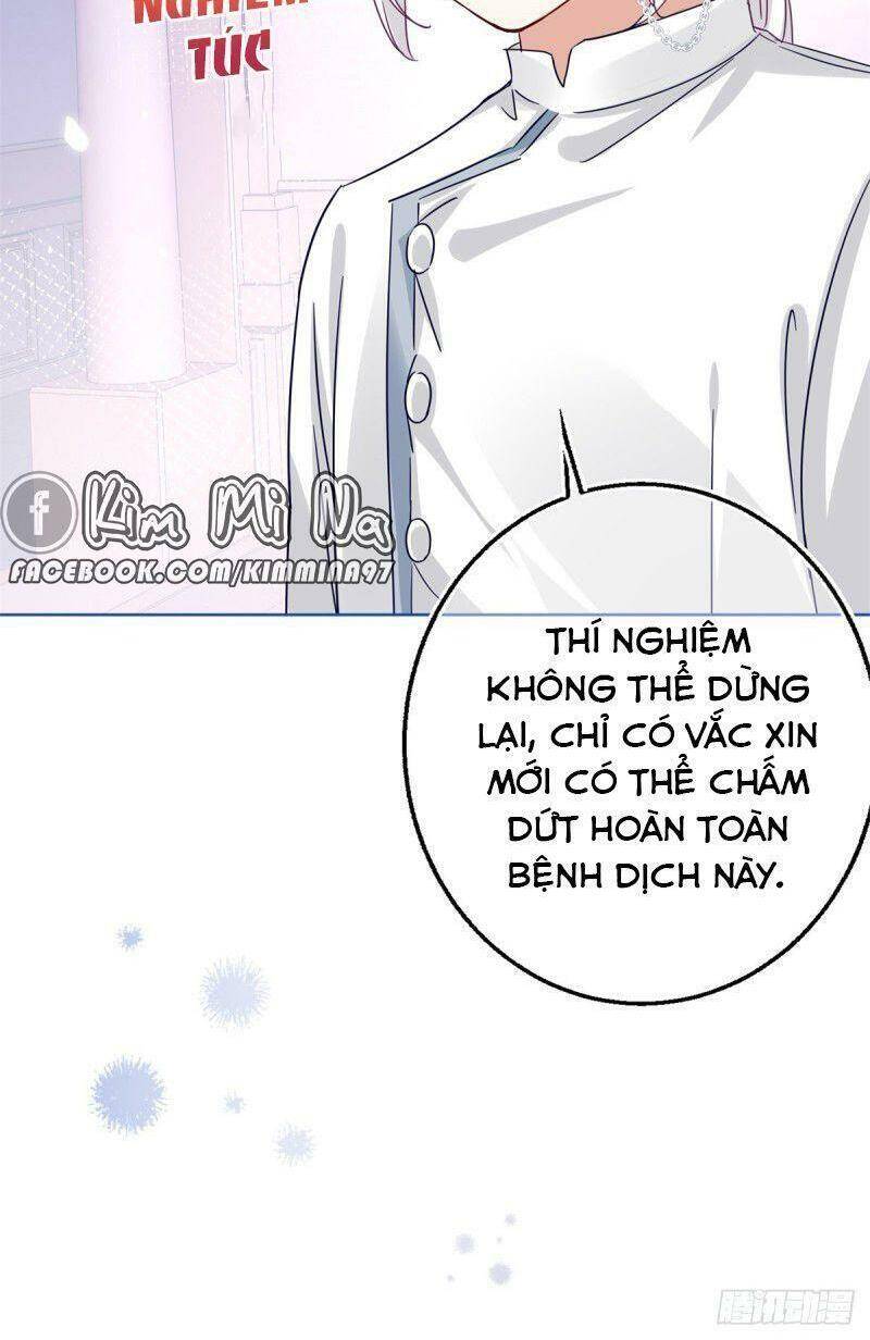 Chapter 25