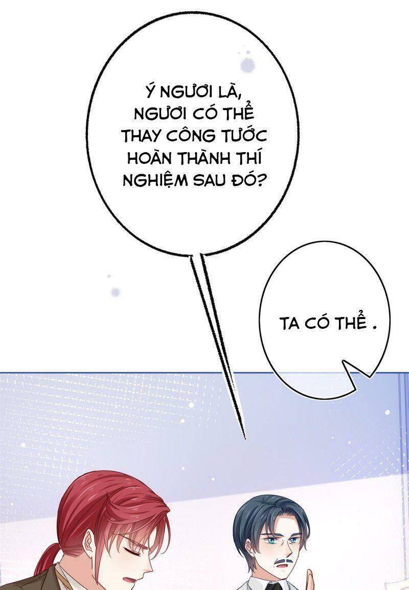 Chapter 25
