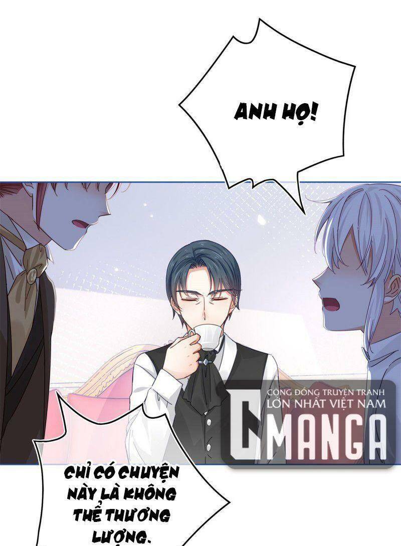 Chapter 25