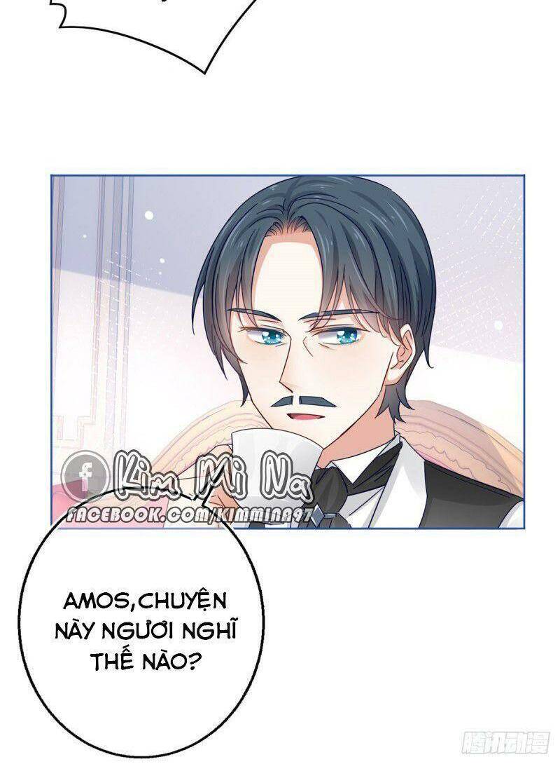 Chapter 25