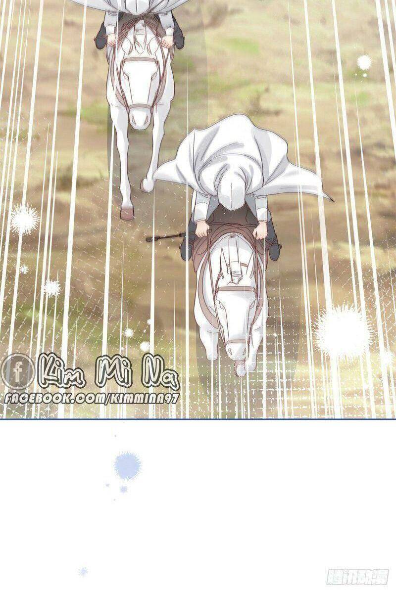Chapter 26