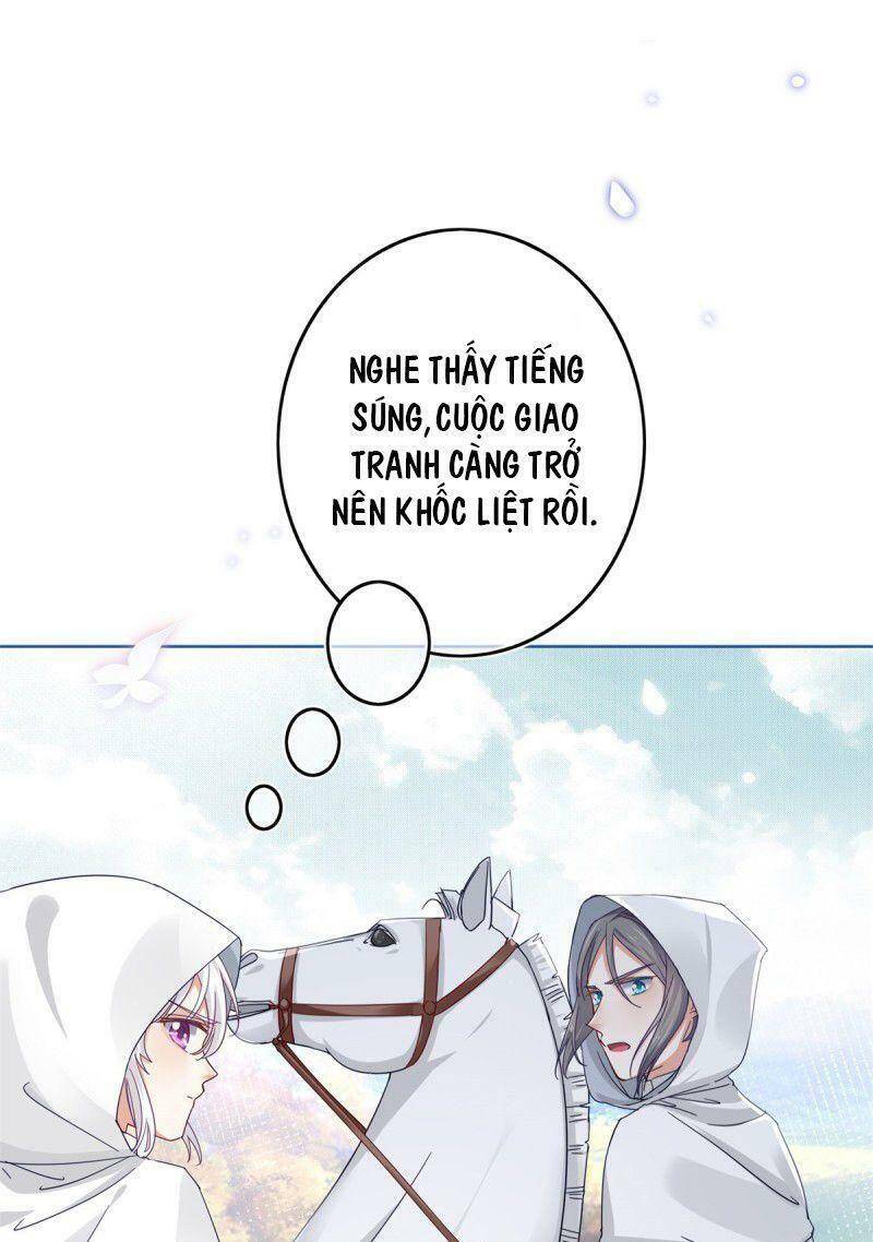 Chapter 26