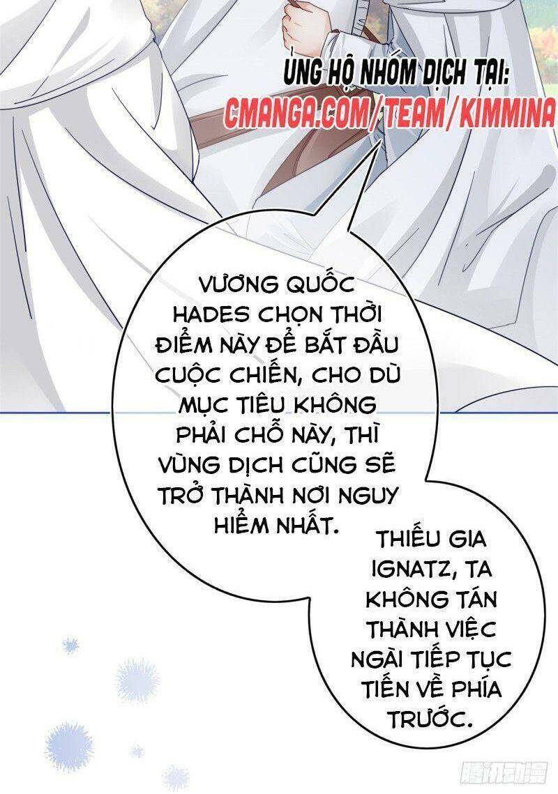 Chapter 26