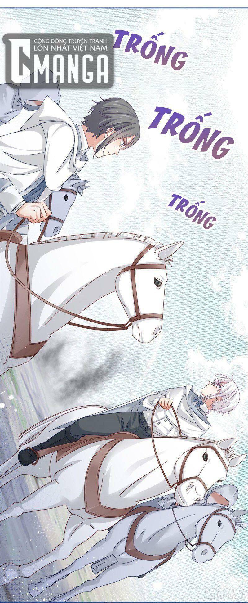 Chapter 26