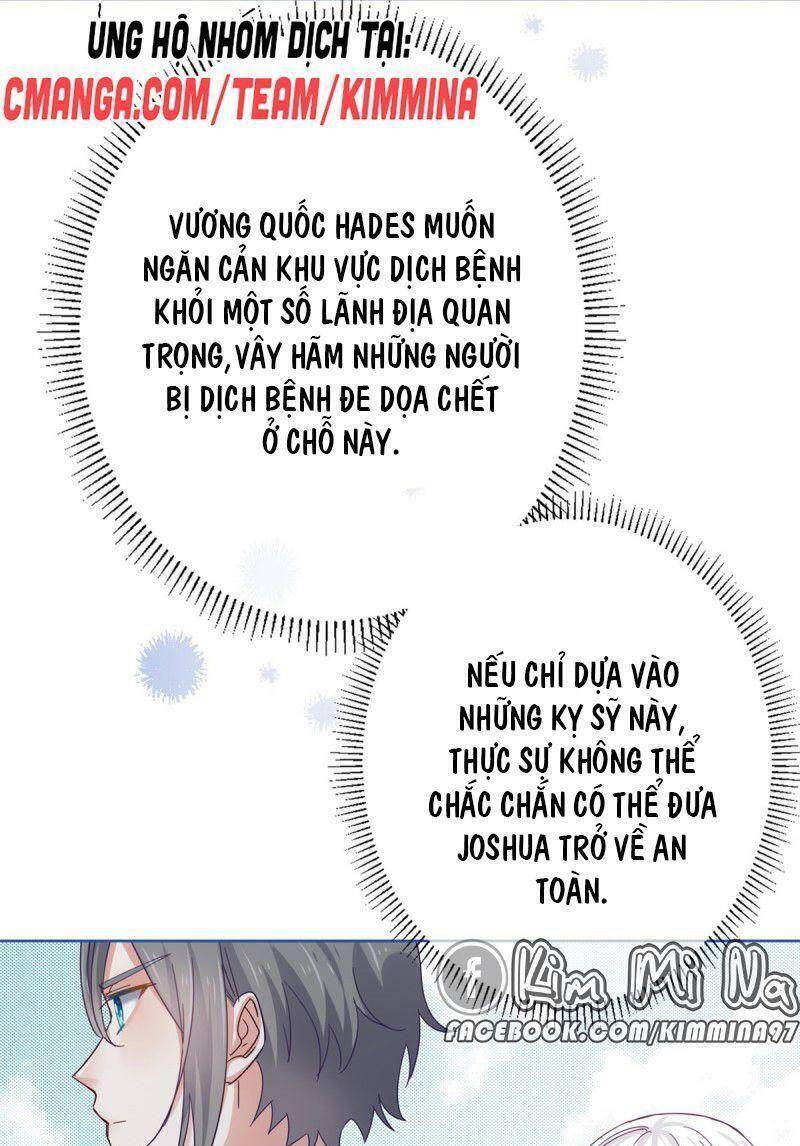 Chapter 26