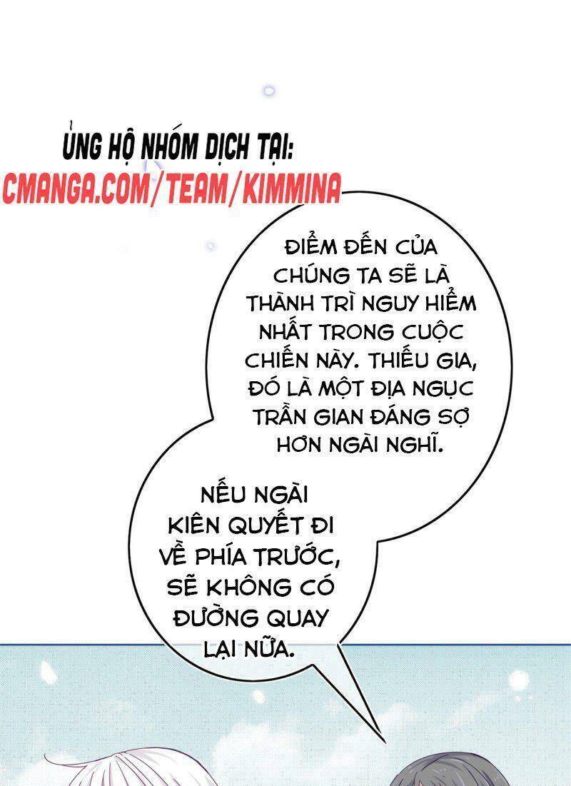 Chapter 26