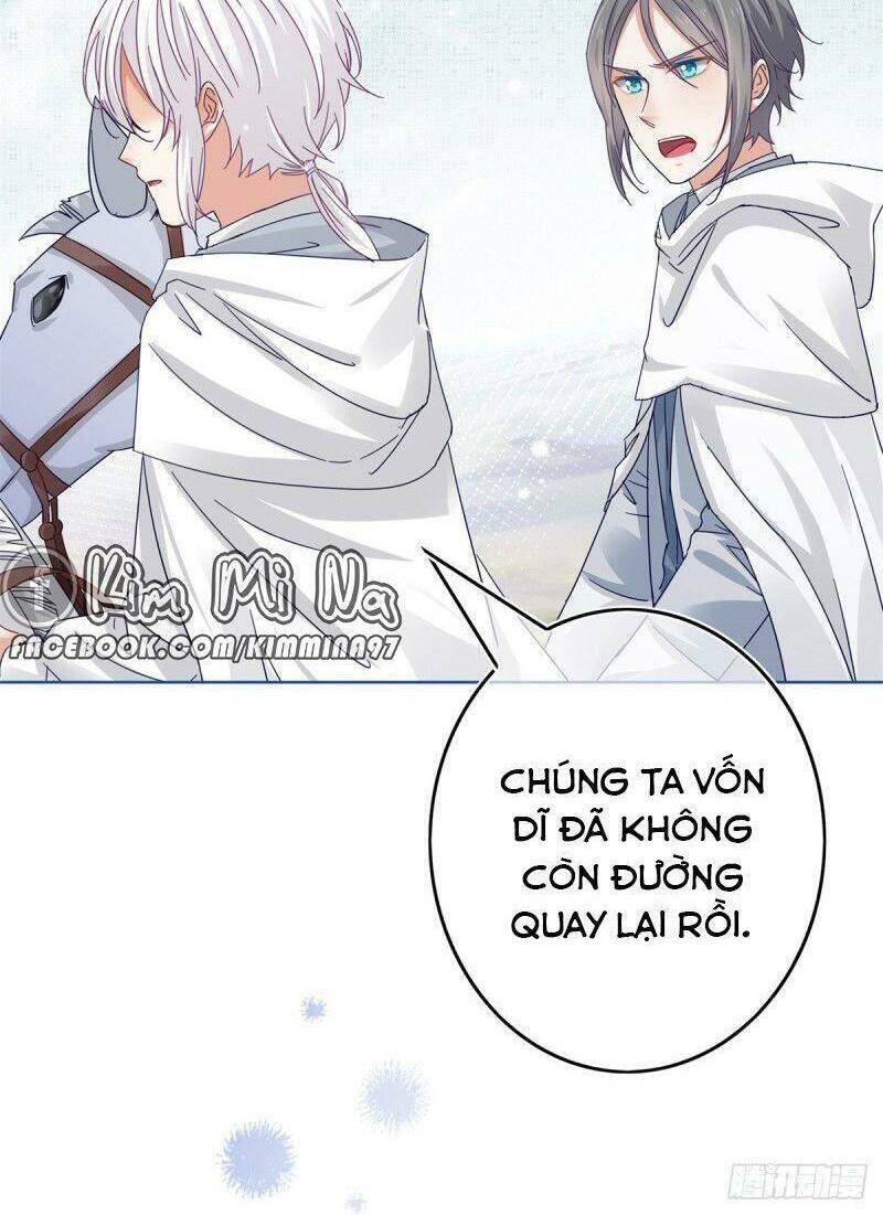 Chapter 26