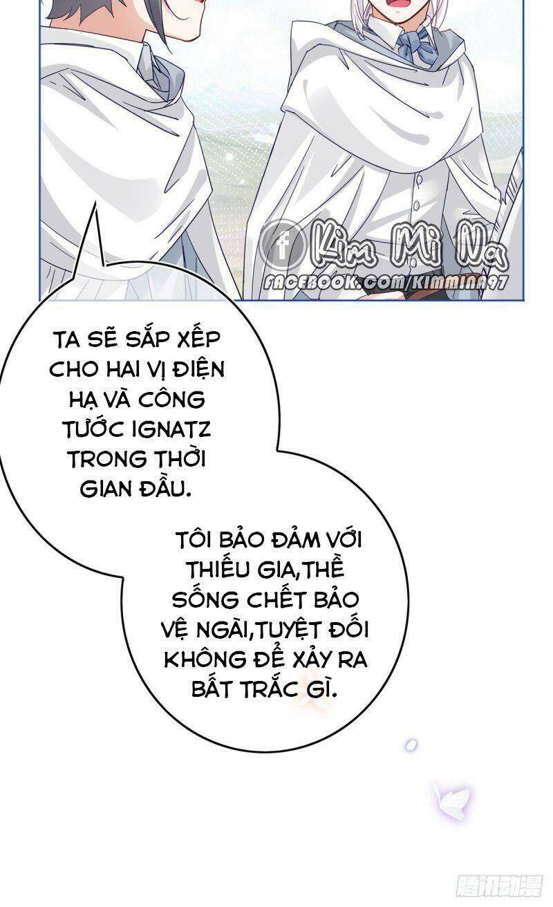 Chapter 26