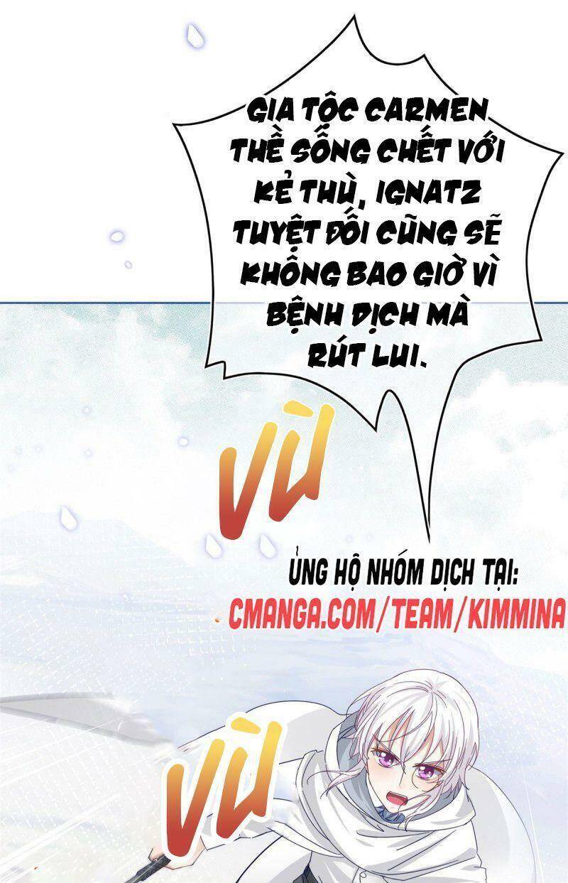 Chapter 26