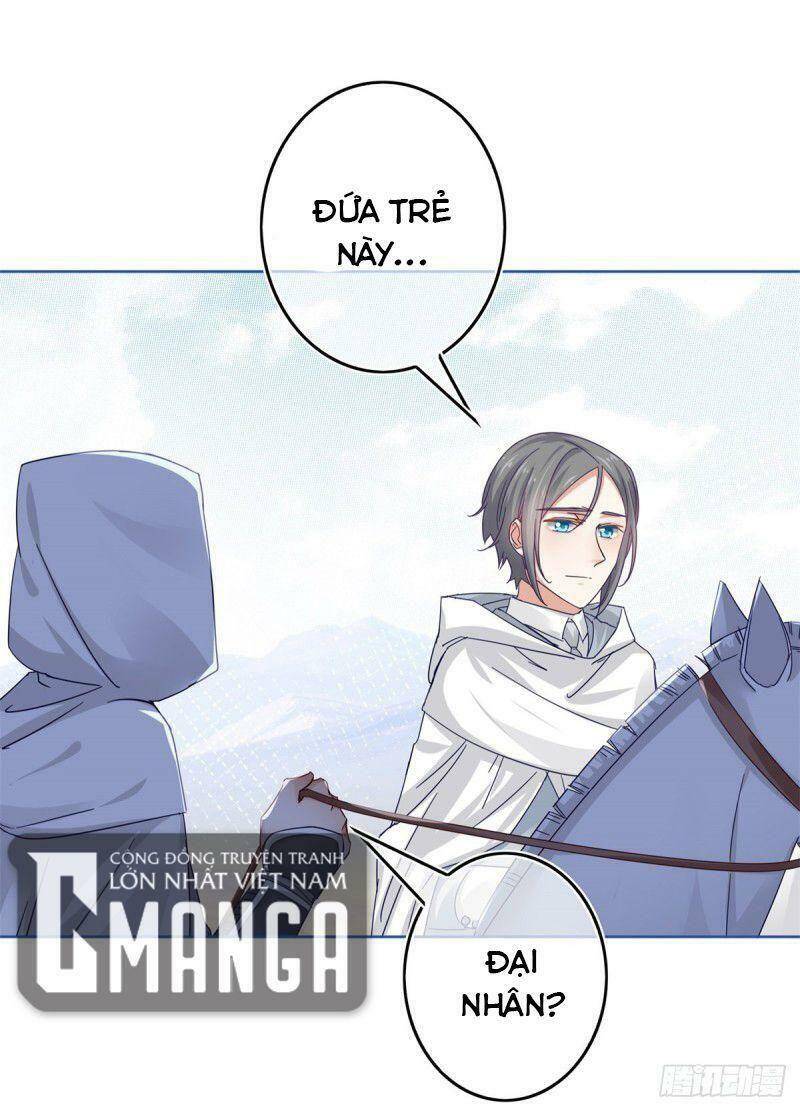 Chapter 26