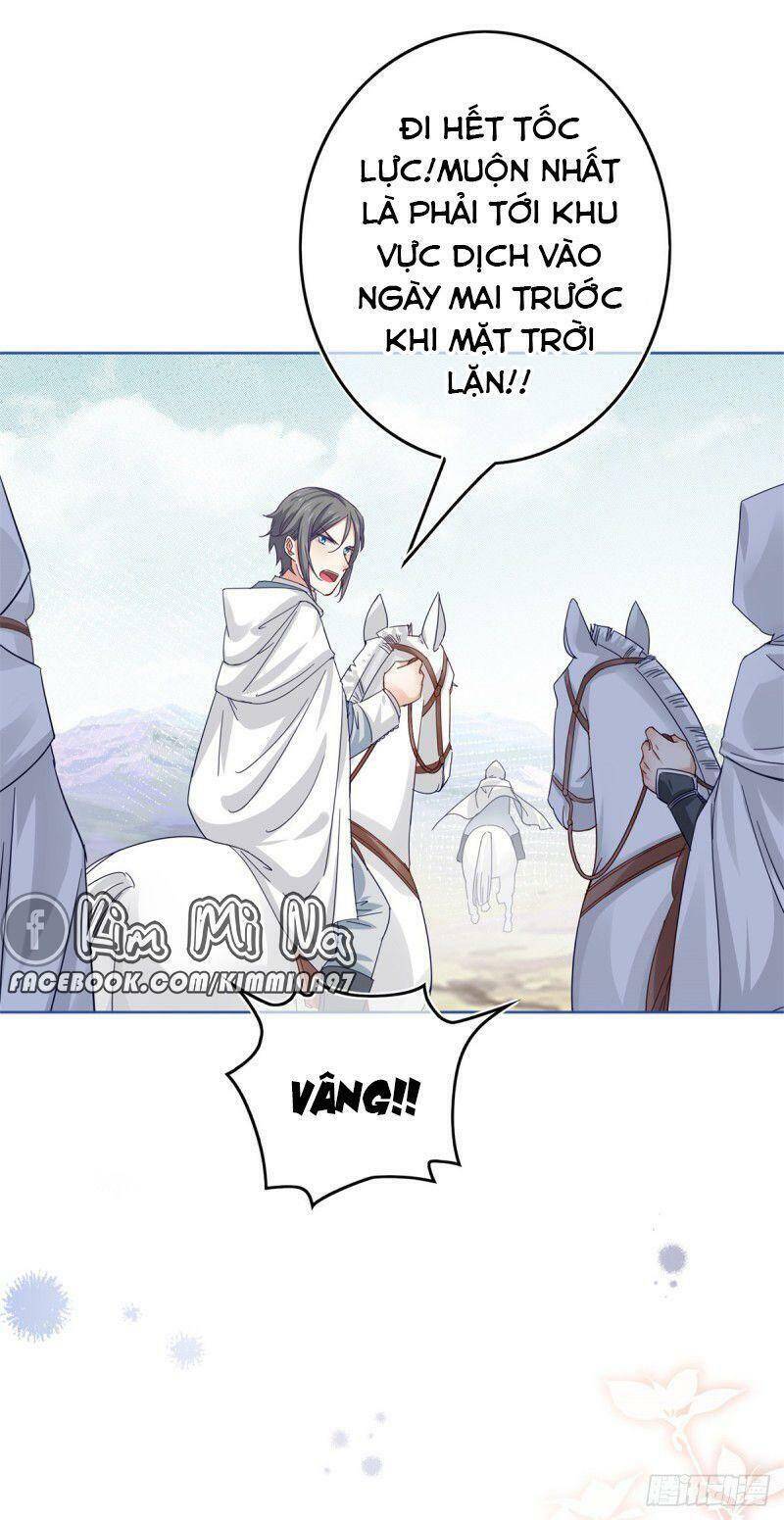 Chapter 26