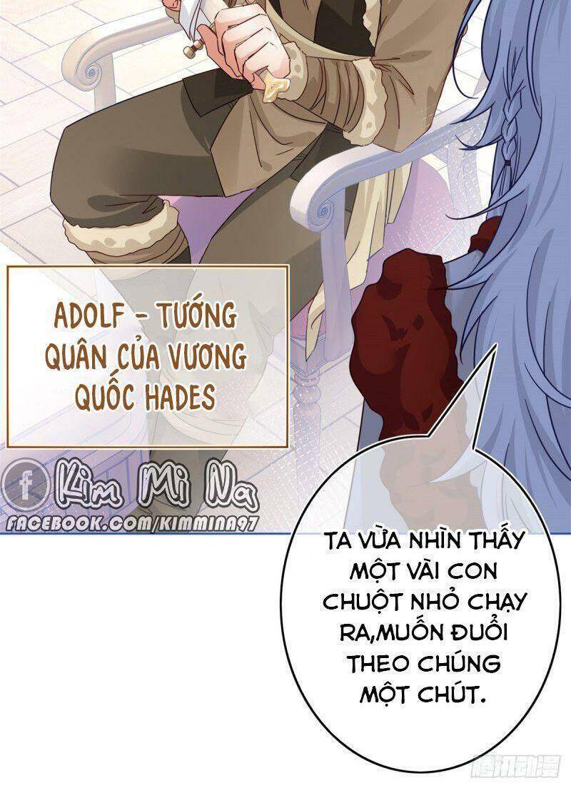 Chapter 26