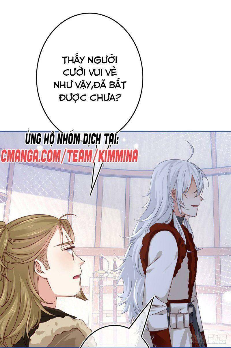 Chapter 26