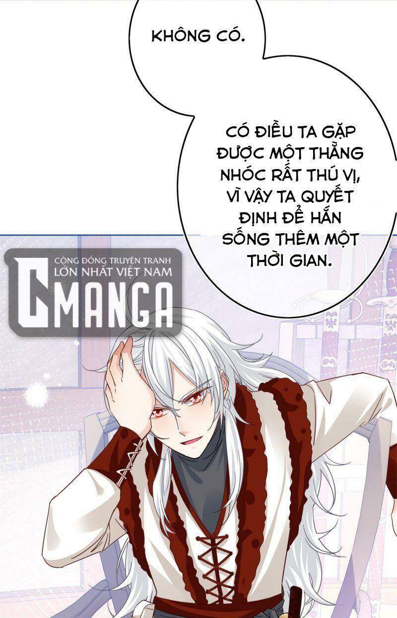 Chapter 26