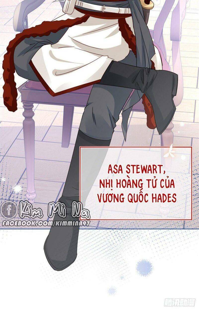 Chapter 26