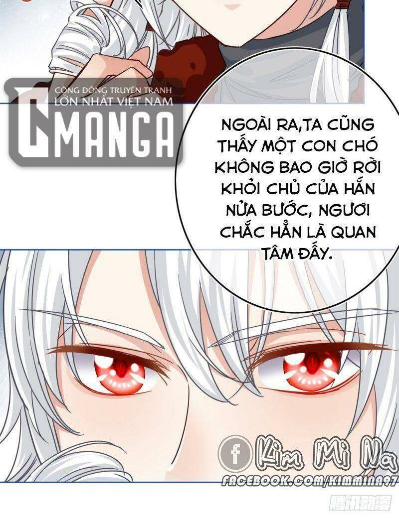 Chapter 26