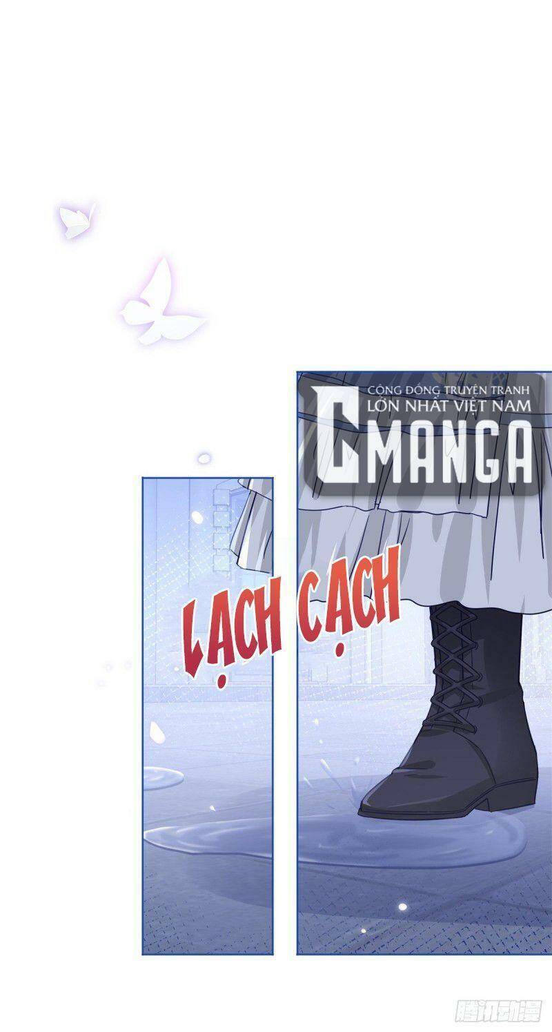 Chapter 28