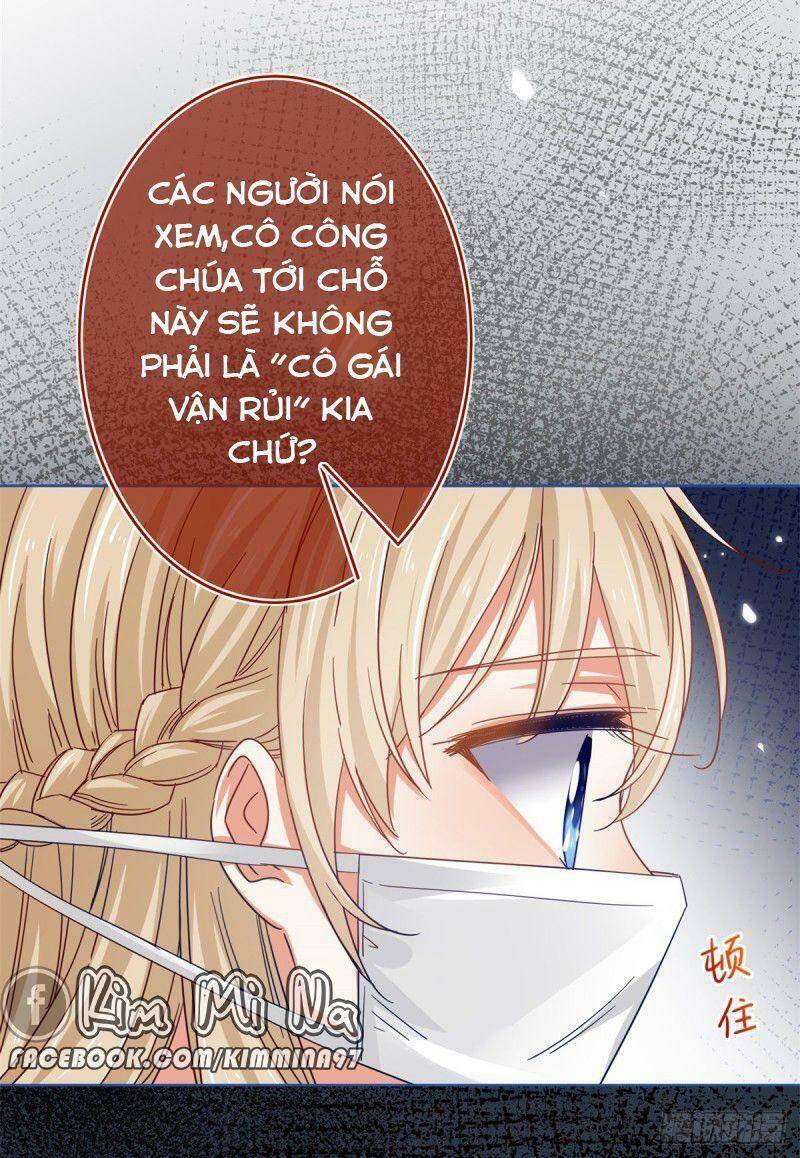 Chapter 28
