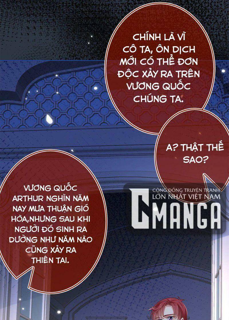 Chapter 28