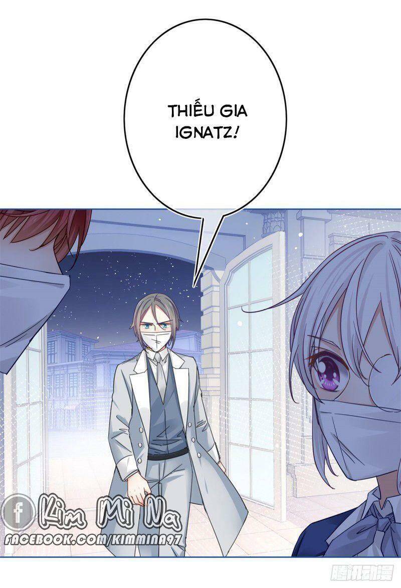 Chapter 28