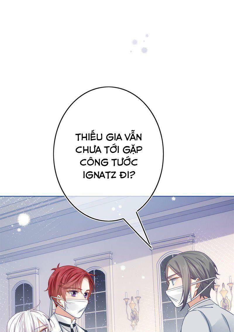 Chapter 28