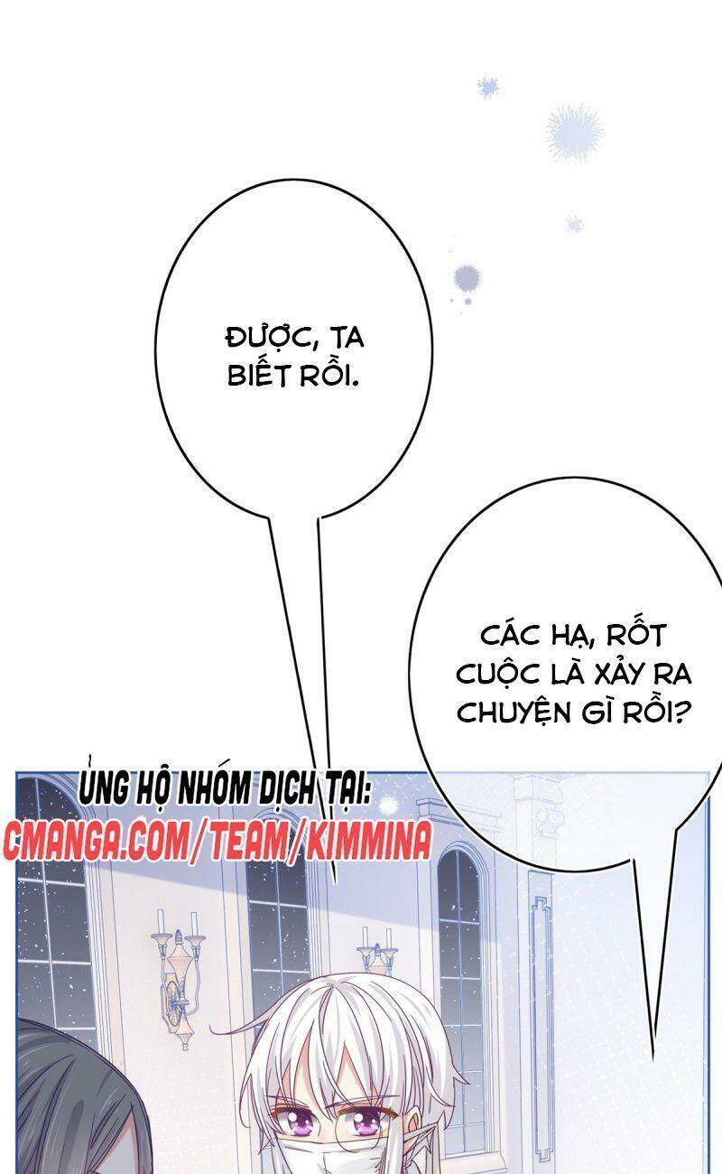 Chapter 28