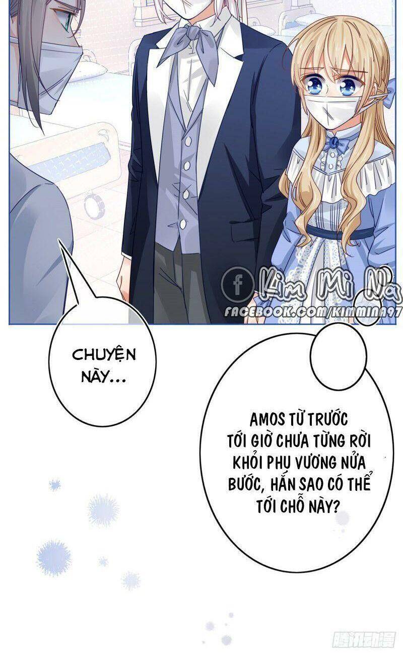 Chapter 28