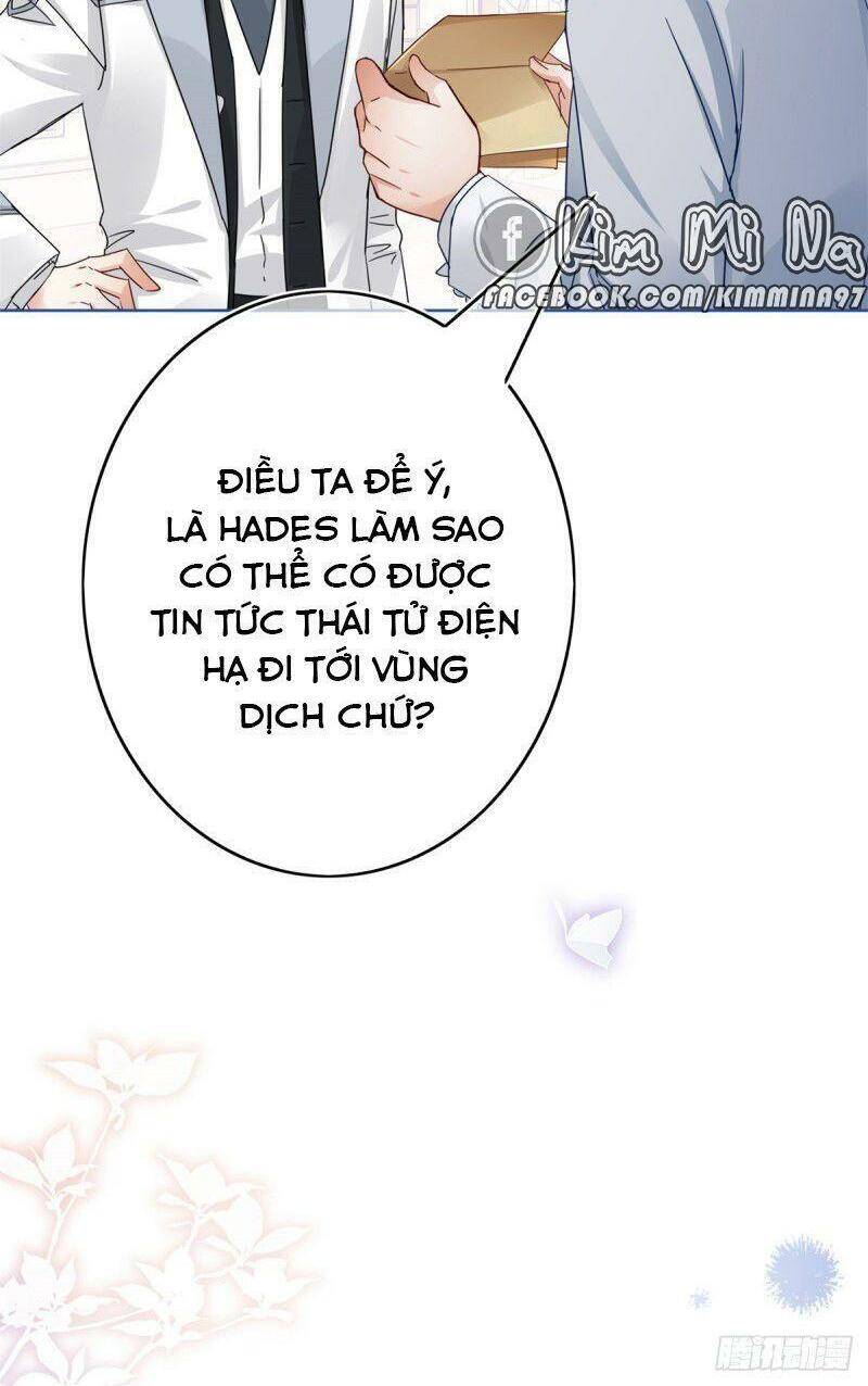 Chapter 29