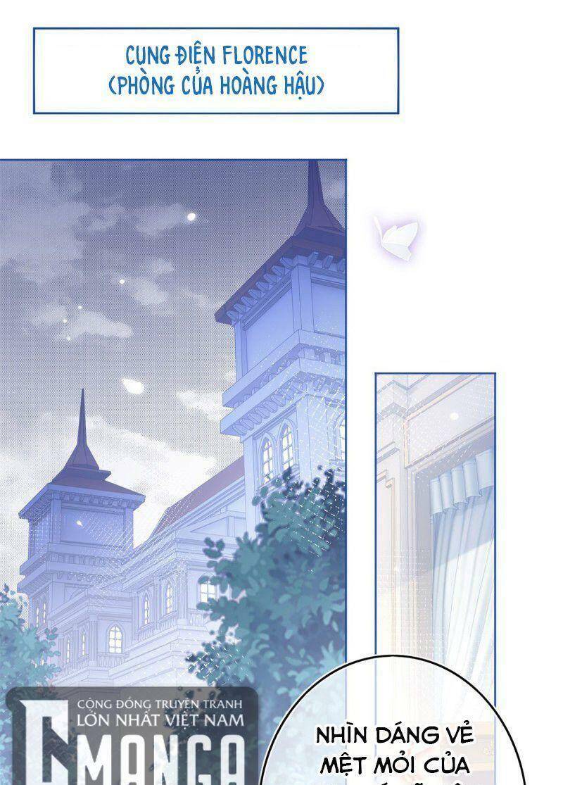 Chapter 29