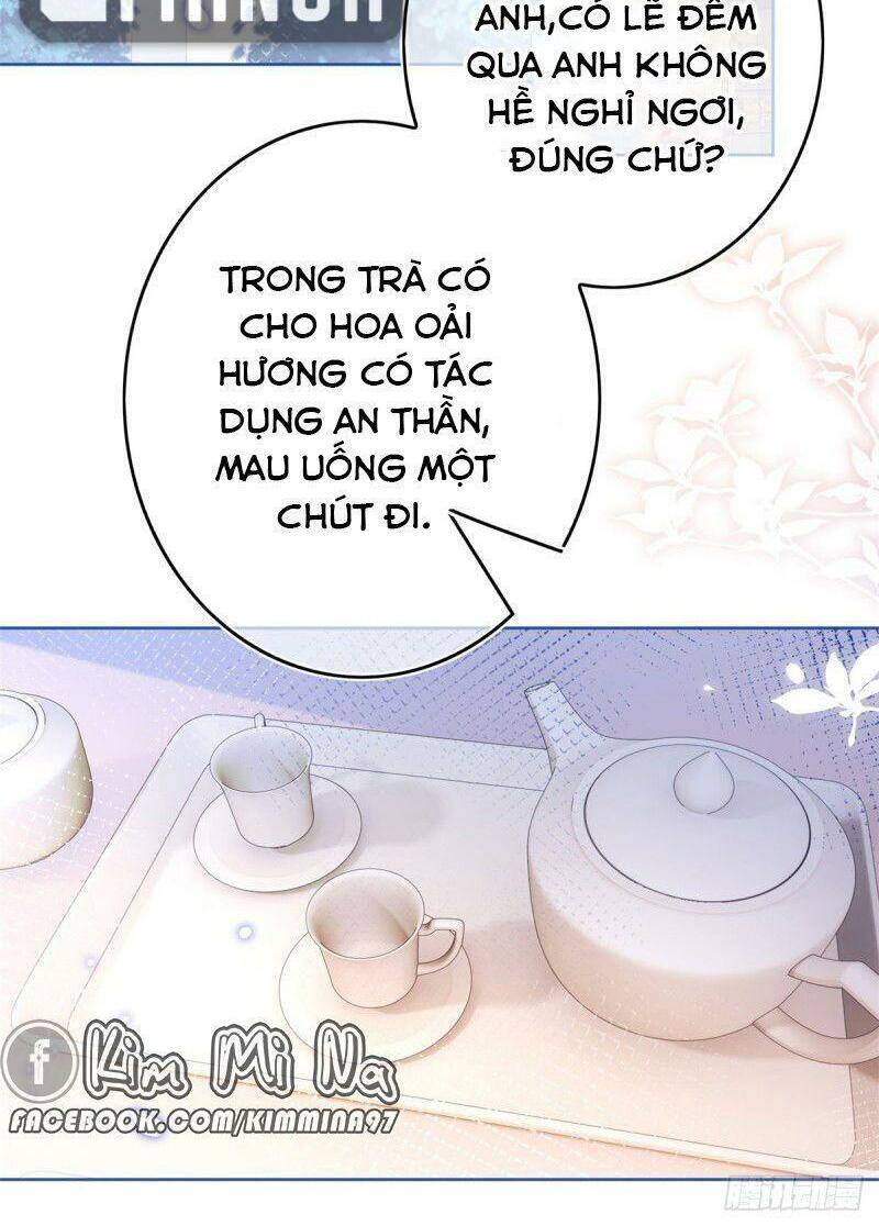 Chapter 29