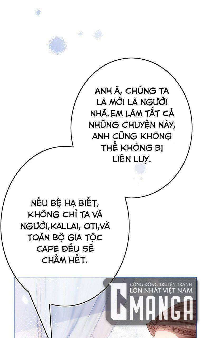 Chapter 29